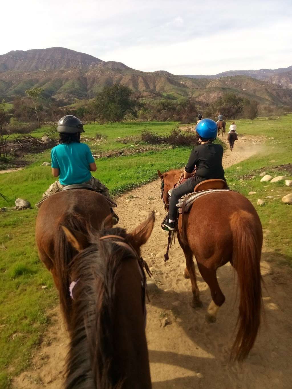 Ojai Valley Trail Riding Company | 1290 Meyer Rd, Ojai, CA 93023, USA | Phone: (805) 890-9340