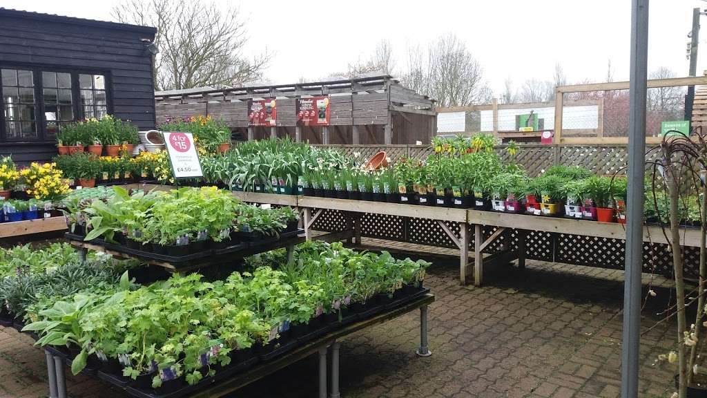 Ongar, a Wyevale Garden Centre | Langford Court, Ongar Rd, Kelvedon Hatch, Brentwood CM15 0LB, UK | Phone: 0844 288 5704