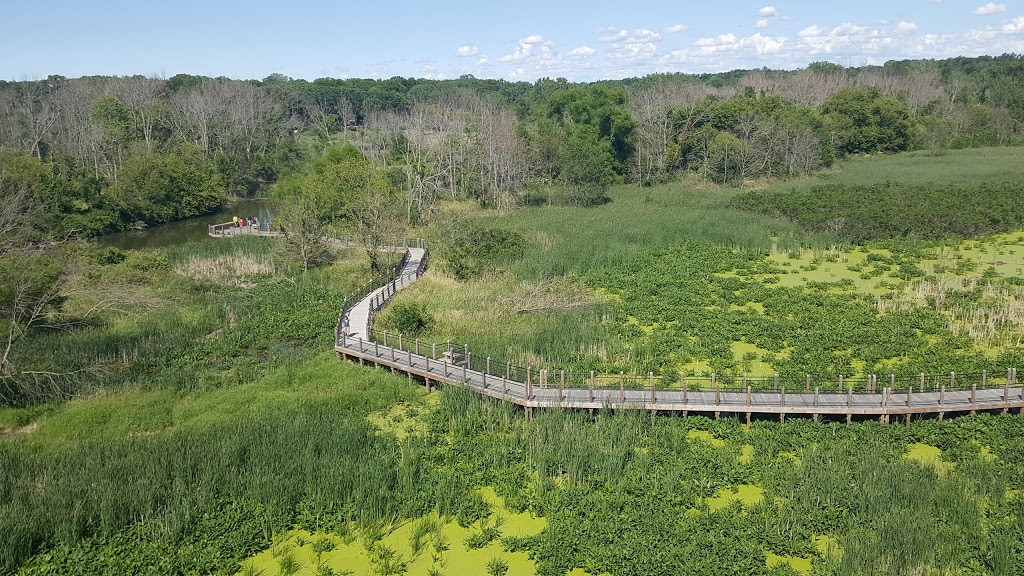 Galien River County Park | 17424 Red Arrow Hwy, New Buffalo, MI 49117, USA