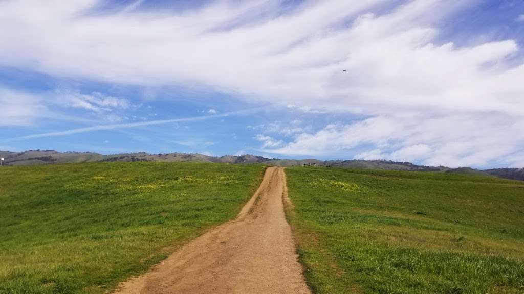 Montgomery Hill Park | Montgomery Hill Trail, San Jose, CA 95135, USA | Phone: (408) 535-3570