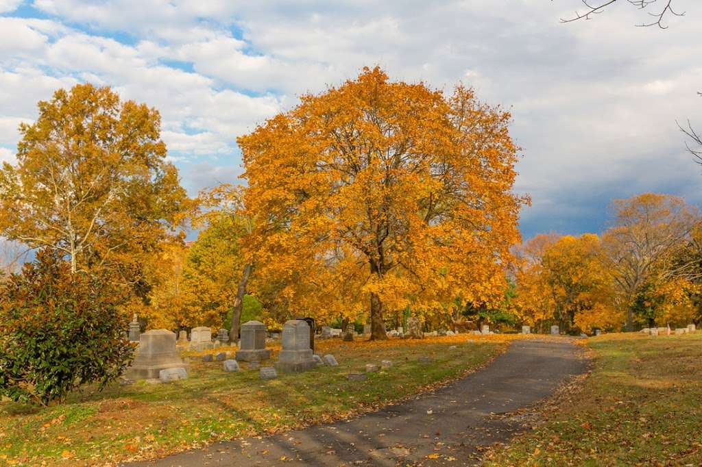 Elmwood Cemetery | 425 Georges Rd, North Brunswick Township, NJ 08902, USA | Phone: (732) 545-1445