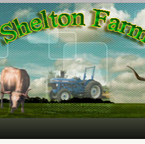 Shelton Auction & Farm | 4728, 302 Storck Rd, Fredericksburg, VA 22406, USA | Phone: (540) 752-2720