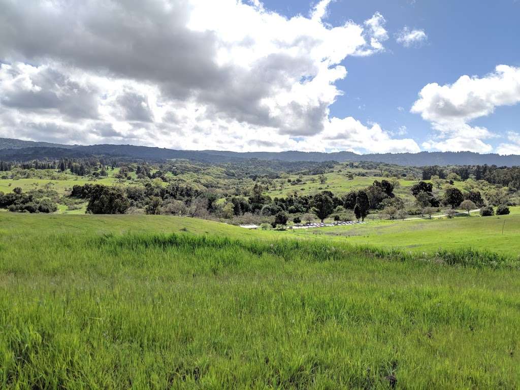 Pearson-Arastradero Preserve | 1530 Arastradero Rd, Palo Alto, CA 94304 | Phone: (650) 329-2423