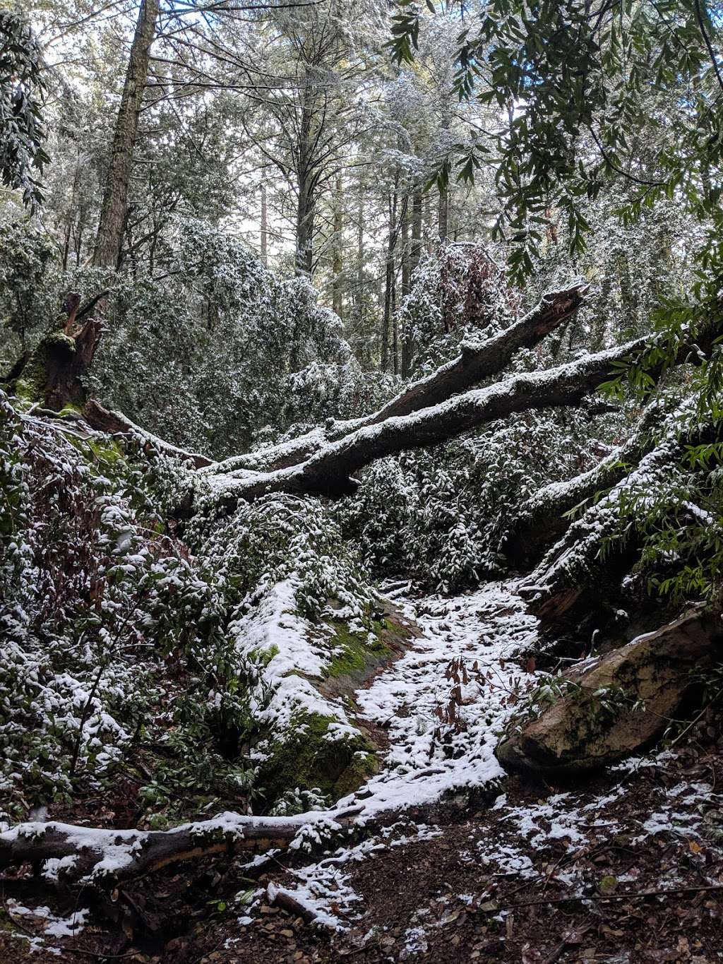 Castle Rock Trail | Castle Rock Trail, Los Gatos, CA 95033