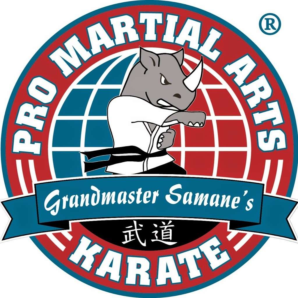 PRO Martial Arts | 300 Swedesford Rd, Berwyn, PA 19312, USA | Phone: (610) 722-9690