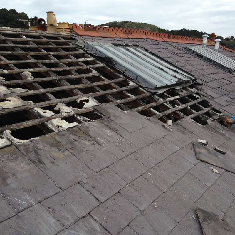 Expert Roofing and Gutters | 3022 W 48th St, Los Angeles, CA 90043, USA | Phone: (310) 507-8027