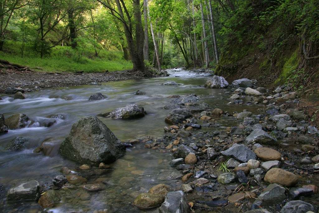 Sycamore Picnic Area | 11401 Stevens Canyon Rd, Cupertino, CA 95014, USA | Phone: (408) 355-2201