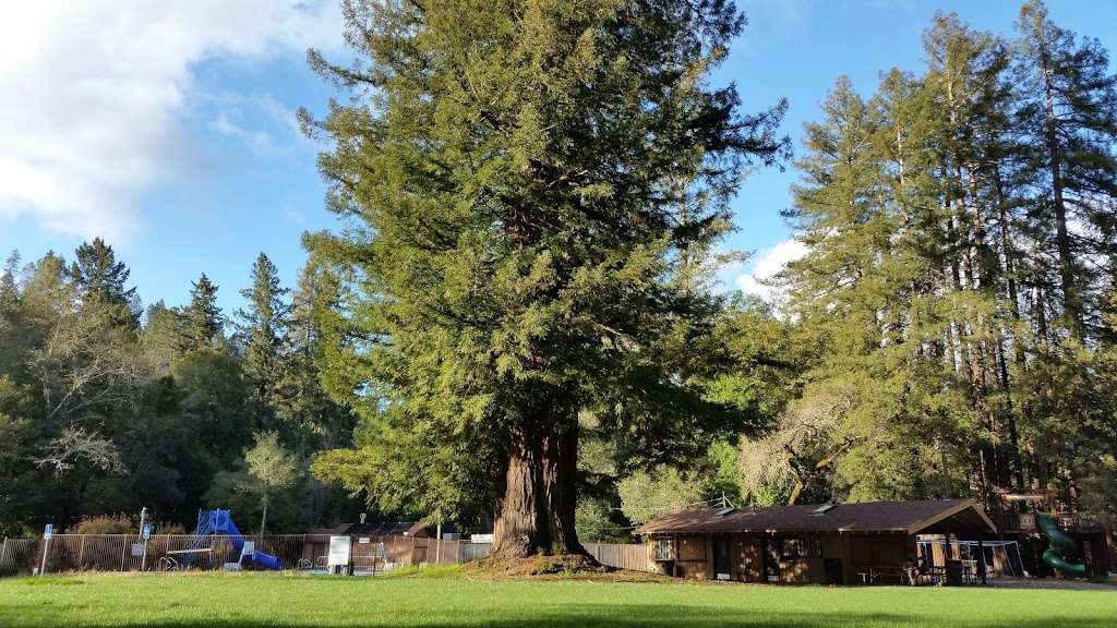 Mount Hermon Redwood Camp | 6480 E Zayante Rd #6400, Felton, CA 95018, USA | Phone: (831) 335-4466