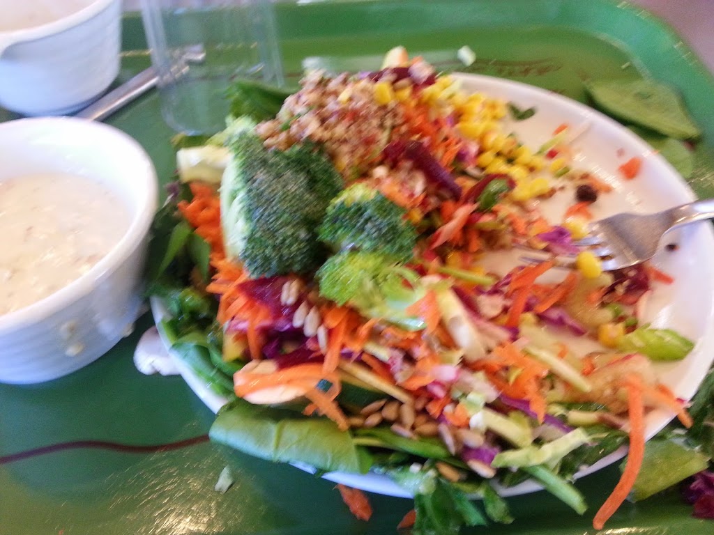 Souplantation | 1860 Marron Rd, Carlsbad, CA 92008, USA | Phone: (760) 434-9100