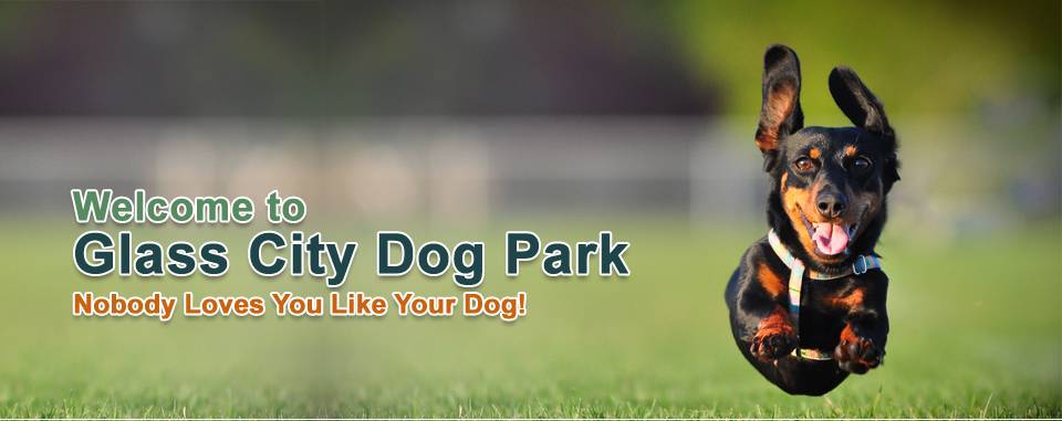 Glass City Dog Park (Membership Required) | 1171 Woodsdale Ave, Toledo, OH 43614, USA | Phone: (567) 307-0703