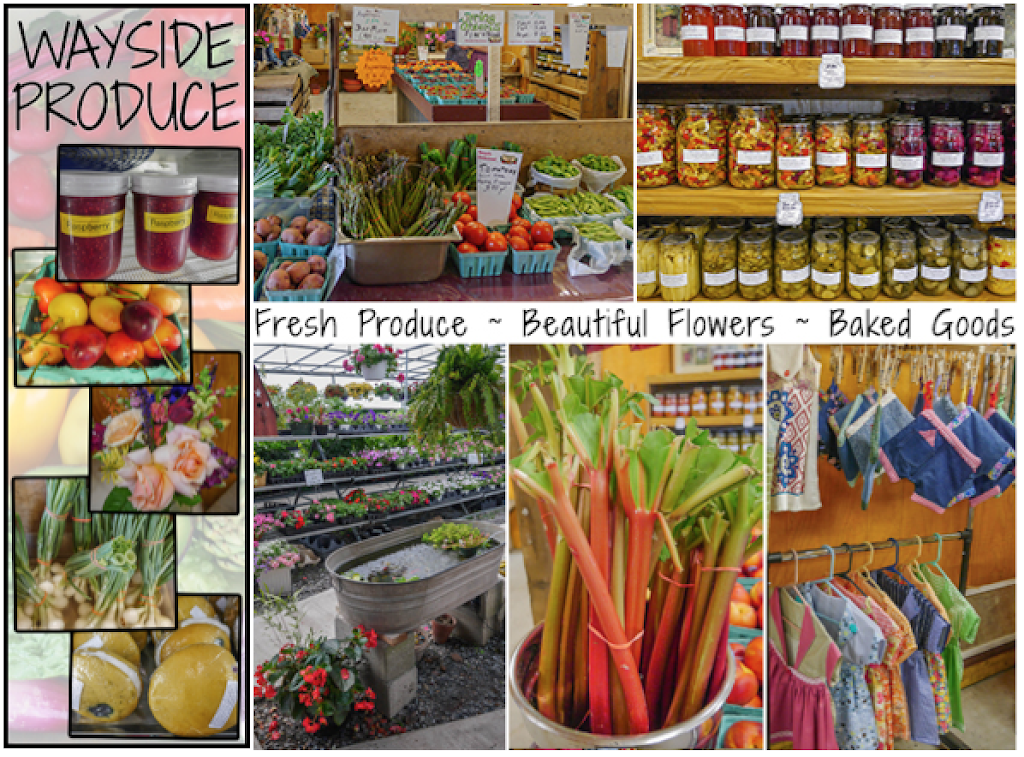 Wayside Produce | 900 Reading Rd, East Earl, PA 17519, USA | Phone: (717) 445-7290