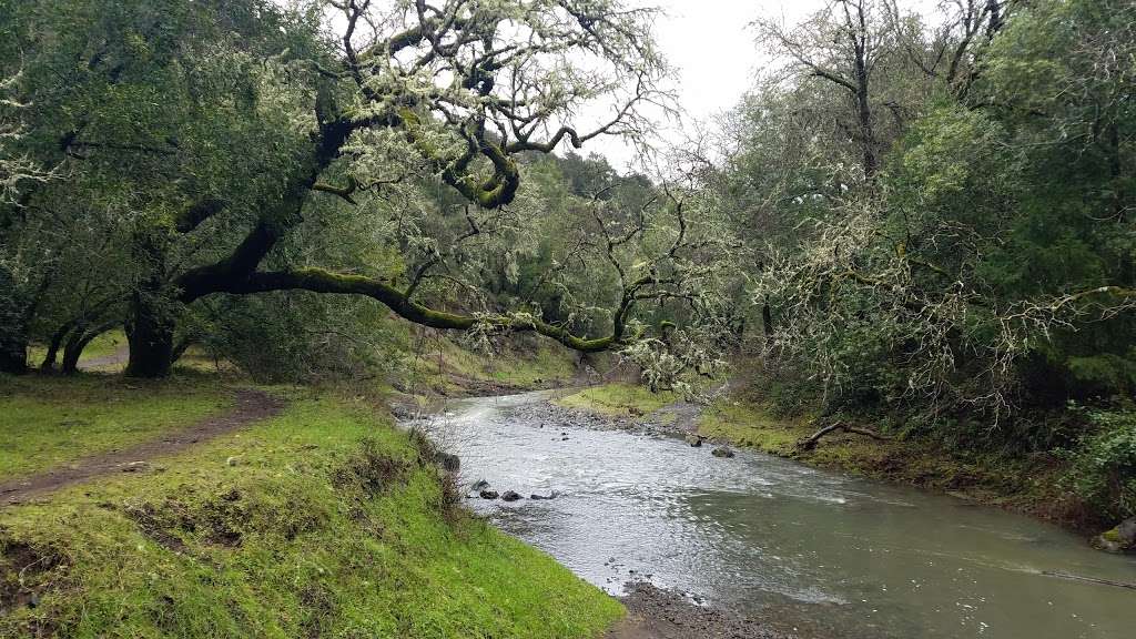 Cascade Canyon Open Space Preserve | Fairfax, CA 94930, USA | Phone: (415) 473-2816