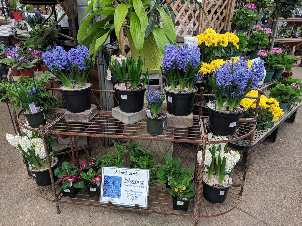 Merrifield Garden Center | 12101 Lee Hwy, Fairfax, VA 22030, USA | Phone: (703) 968-9600