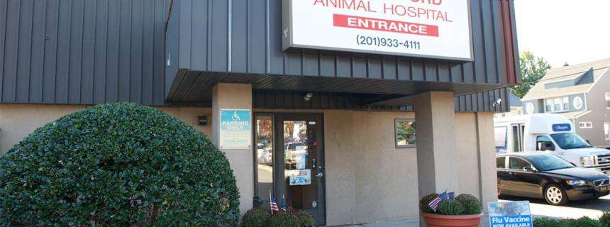Rutherford Animal Hospital | 755 Rutherford Ave, Rutherford, NJ 07070, USA | Phone: (201) 933-4111