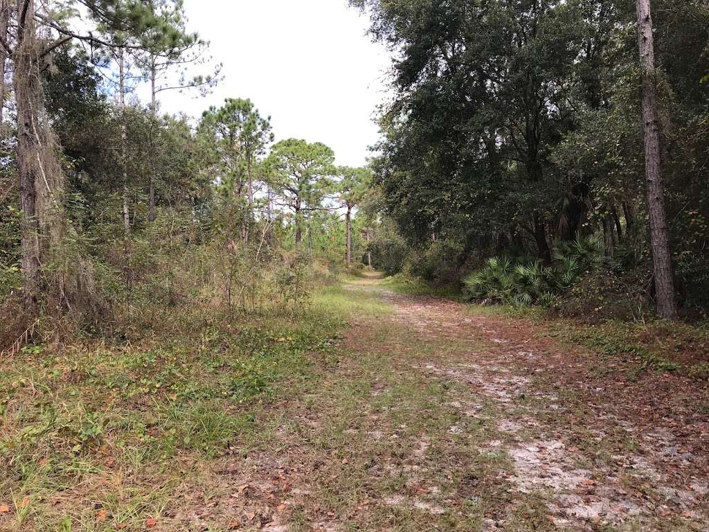 Sawgrass Island Preserve South Trailhead | 11931 Sawgrass Island Rd, Umatilla, FL 32784