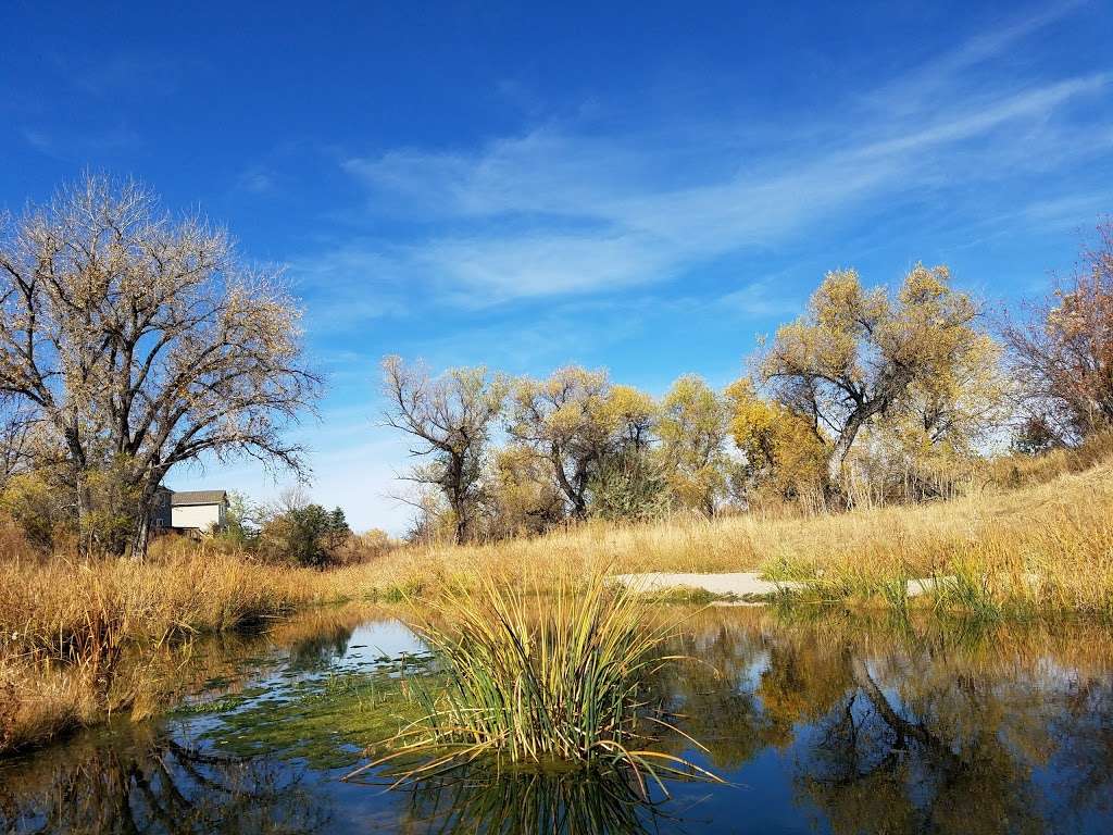 Canterberry Crossing Recreation Center | 22500 Sulphur Gulch Trail, Parker, CO 80138, USA