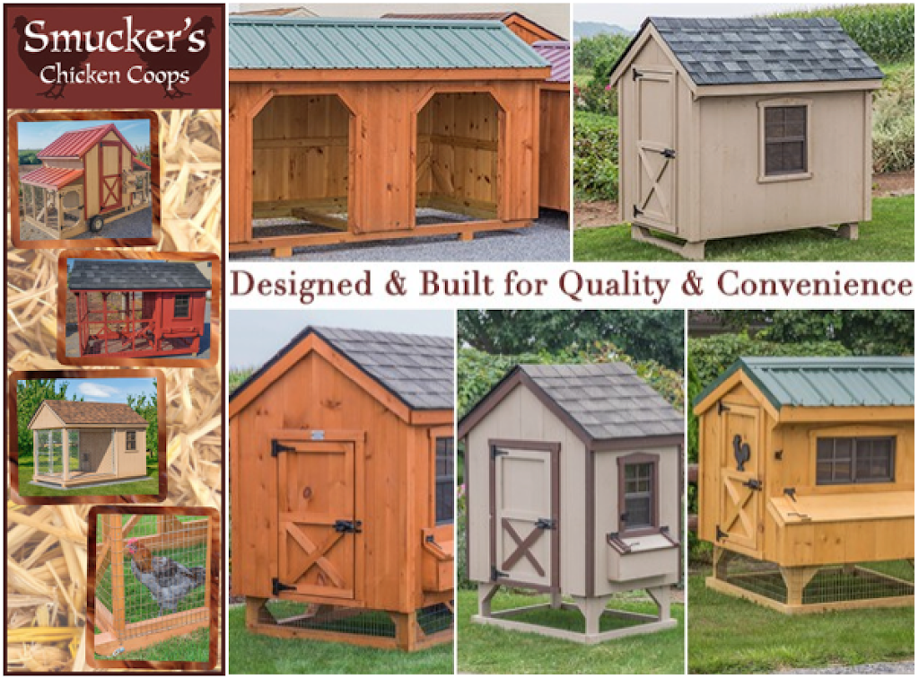 Smuckers Chicken Coops | 195 Bell Rd, Christiana, PA 17509, USA | Phone: (717) 529-2600