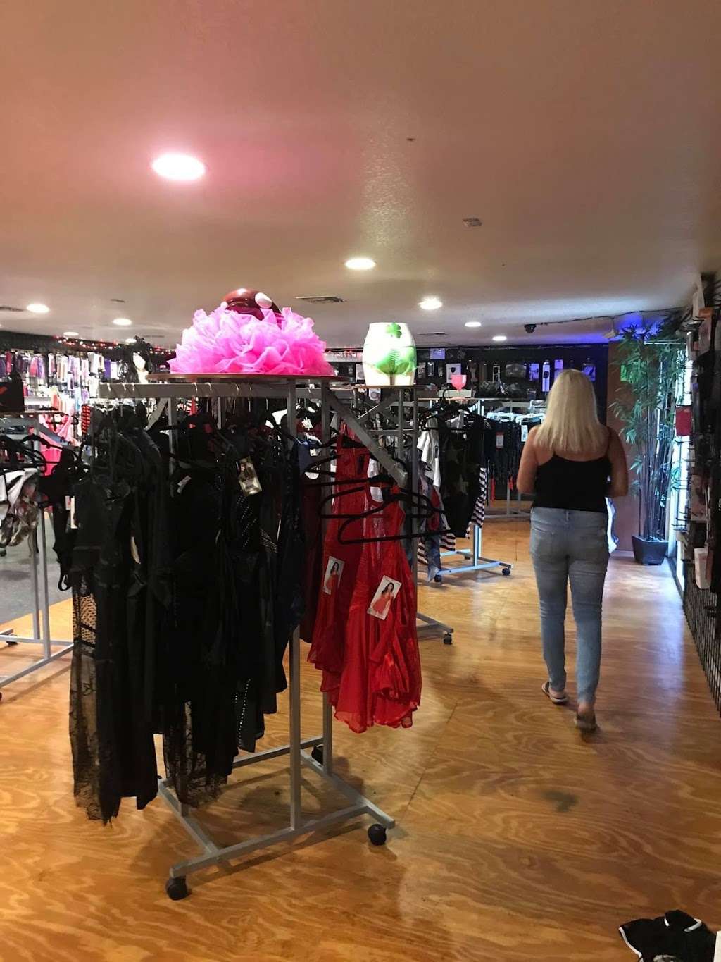 Wild Things Lingerie & Adult Novelty Store - clothing store  | Photo 8 of 9 | Address: 5340 E Silver Springs Blvd, Silver Springs, FL 34488, USA | Phone: (352) 236-5298