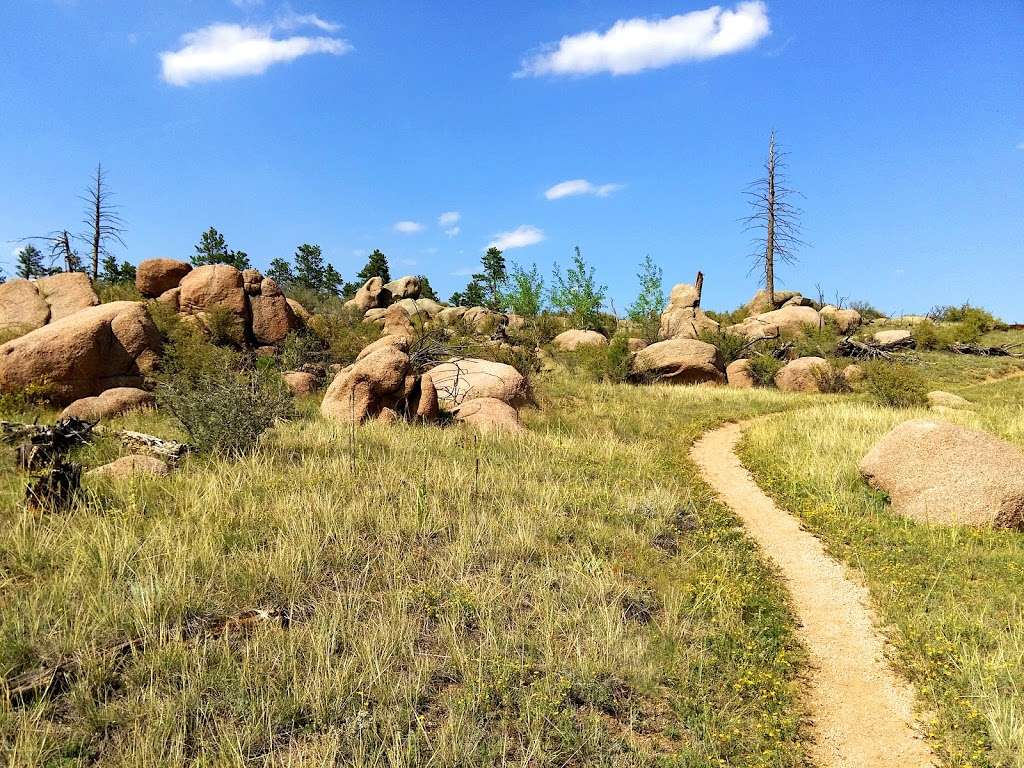 Colorado Trail Trailhead: South Platte River | 2707-2765 N Platte River Rd, Sedalia, CO 80135 | Phone: (303) 384-3729