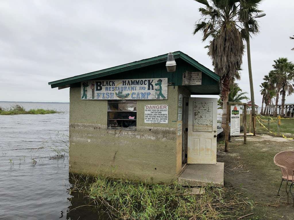 Black Hammock Airboat Rides | 2356 Black Hammock Fish Camp Rd, Oviedo, FL 32765 | Phone: (407) 365-1244