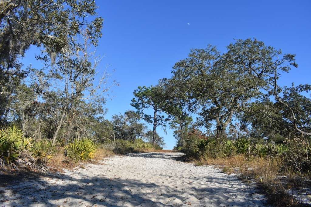 Allen David Broussard Catfish Creek Preserve State Park | 4335 Firetower Rd, Haines City, FL 33844, USA | Phone: (863) 696-1112