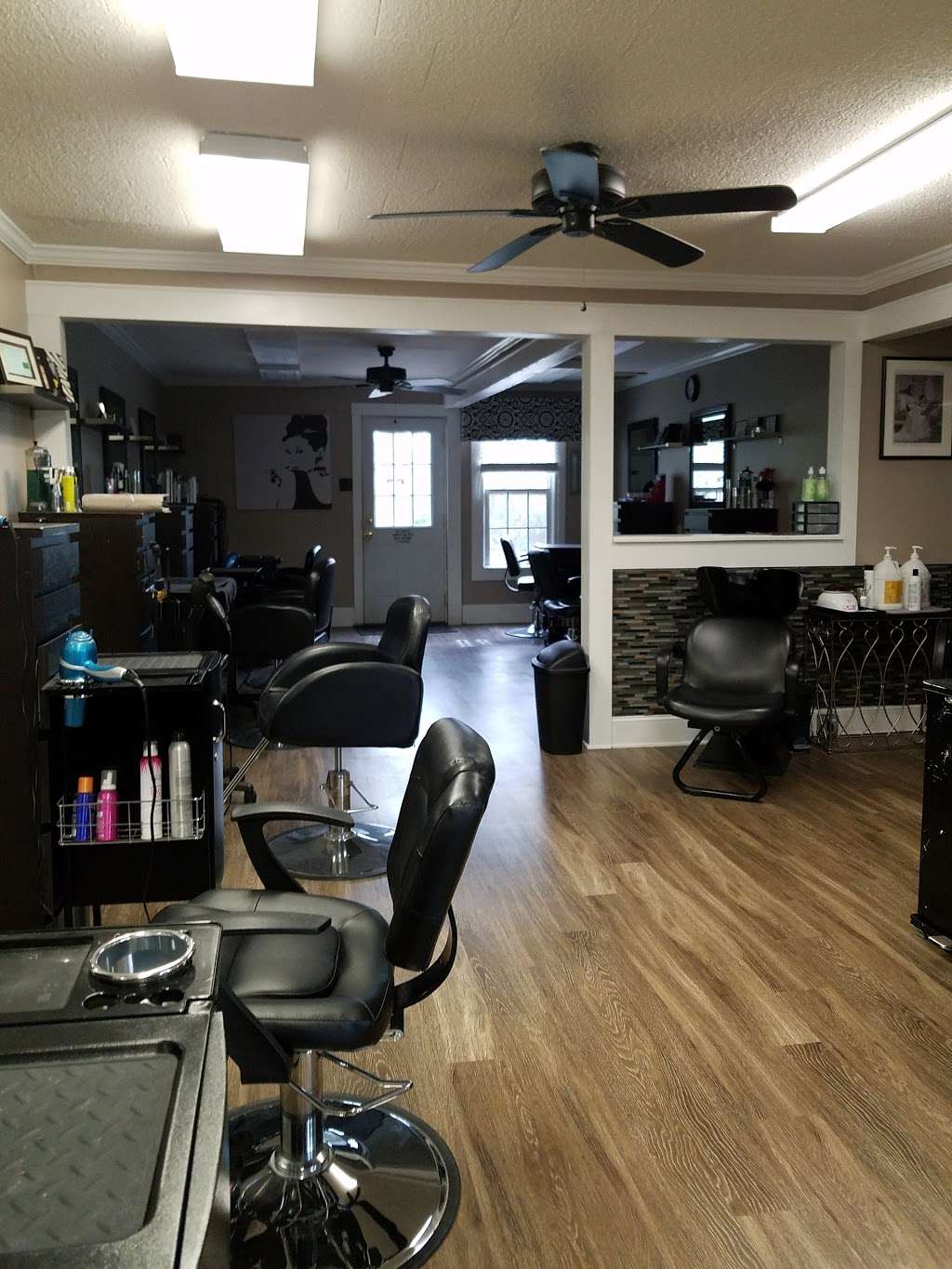 SNOBS Salon and Spa | 509 Union Cemetery Rd SW, Concord, NC 28027, USA | Phone: (980) 255-8231