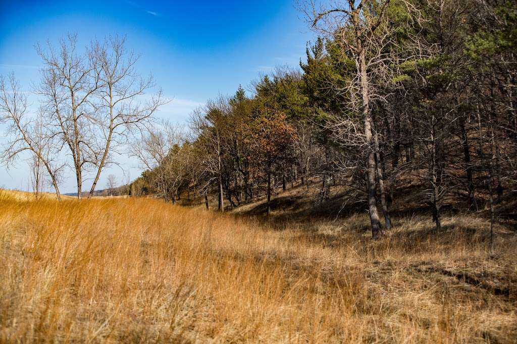 Cowles Bog Trail | 1618 N Mineral Springs Rd, Dune Acres, IN 46304, USA | Phone: (219) 395-1882