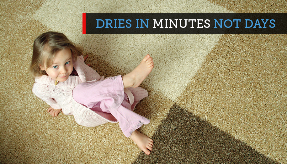 Quick-Dry Carpet Cleaning | 3600 E Bluebird Ln, Bloomington, IN 47401, USA | Phone: (812) 333-8216
