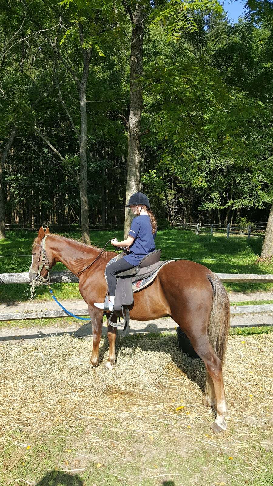 Sugar Mountain Carriages | Sugar Mountain Rd W, Bushkill, PA 18324 | Phone: (570) 588-3063