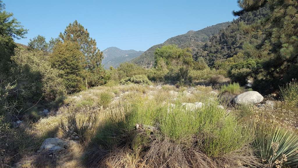 Thurman Flats Picnic Area | 9025 CA-38, Mentone, CA 92359, USA | Phone: (909) 382-2882