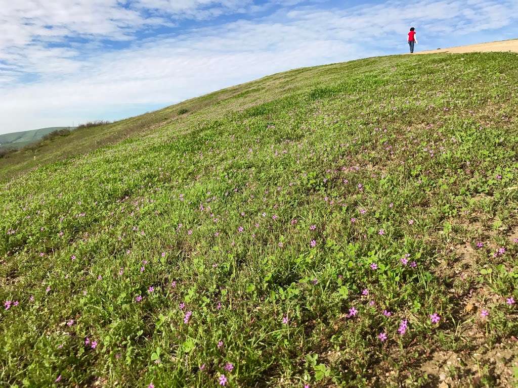 Eucalyptus Trail Loop | Chino Hills, CA 91709, USA