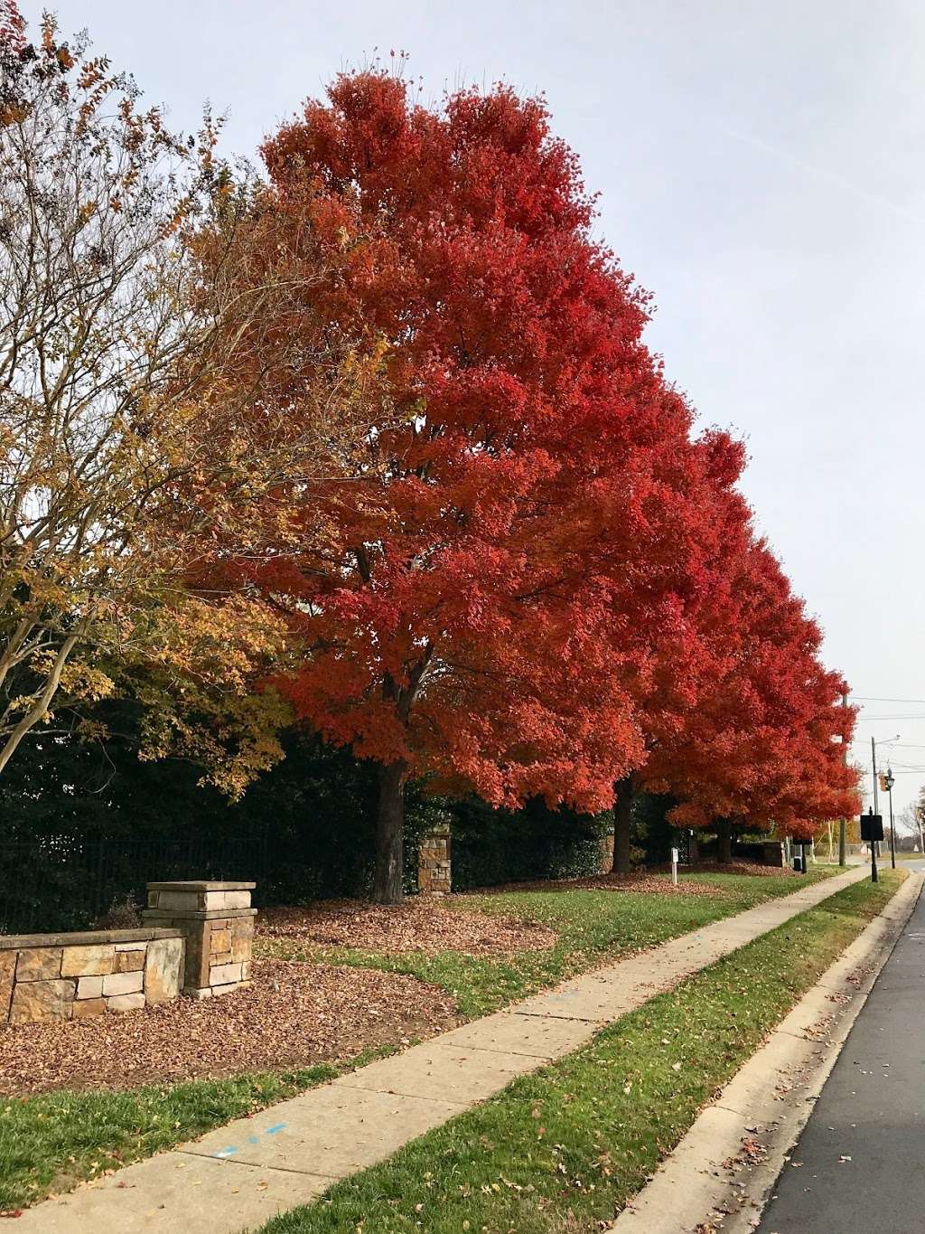 Mallard Creek Church Rd & Galloway Rd | Charlotte, NC 28269, USA