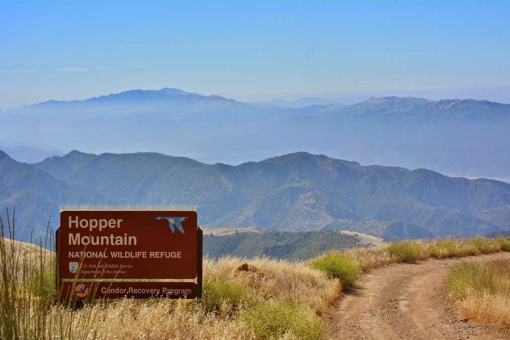 Hopper Mountain National Wildlife Refuge | Fillmore, CA 93015, USA | Phone: (805) 644-5185