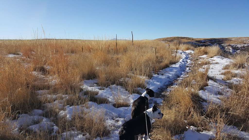 Rhyolite Park | 1701 Crystal Valley Pkwy, Castle Rock, CO 80104, USA | Phone: (303) 814-7444