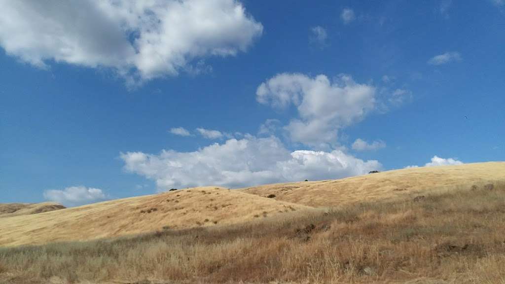 Coyote Ridge Open Space Preserve | 9611 Malech Rd, Morgan Hill, CA 95037, USA