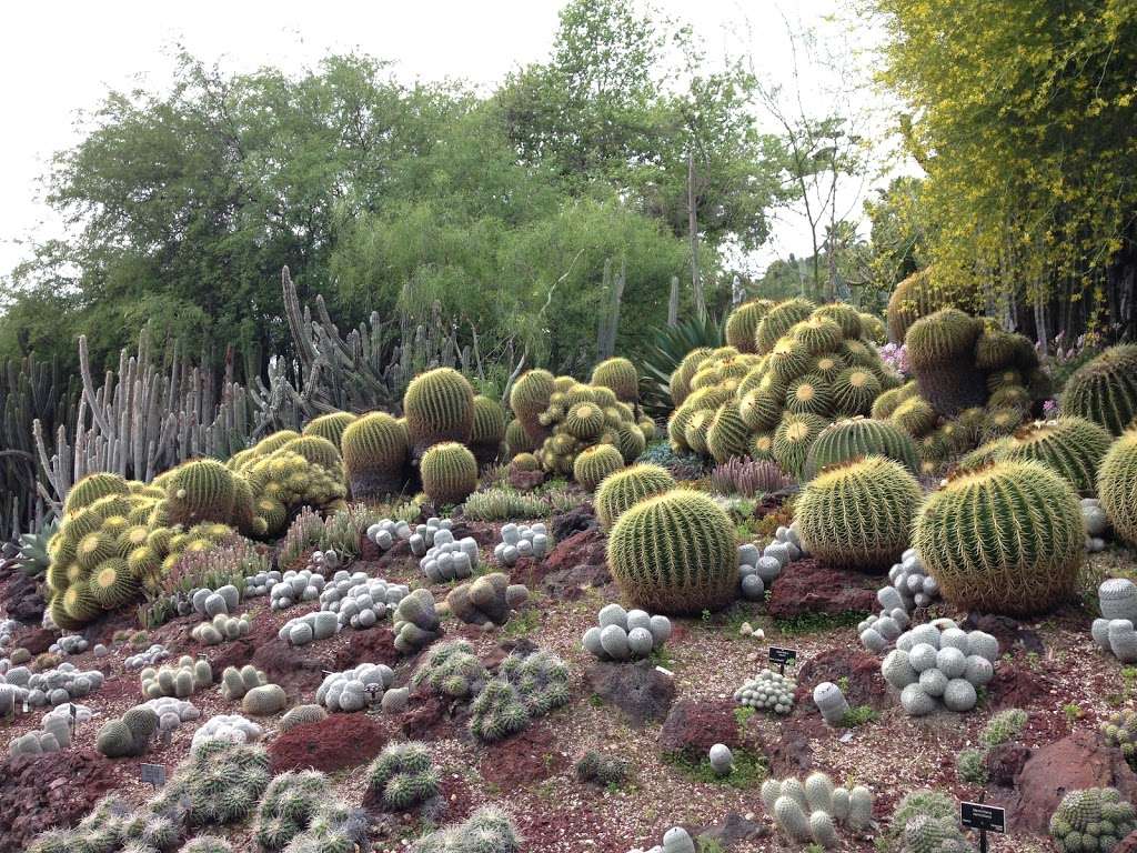 Desert Garden | San Marino, CA 91108, USA