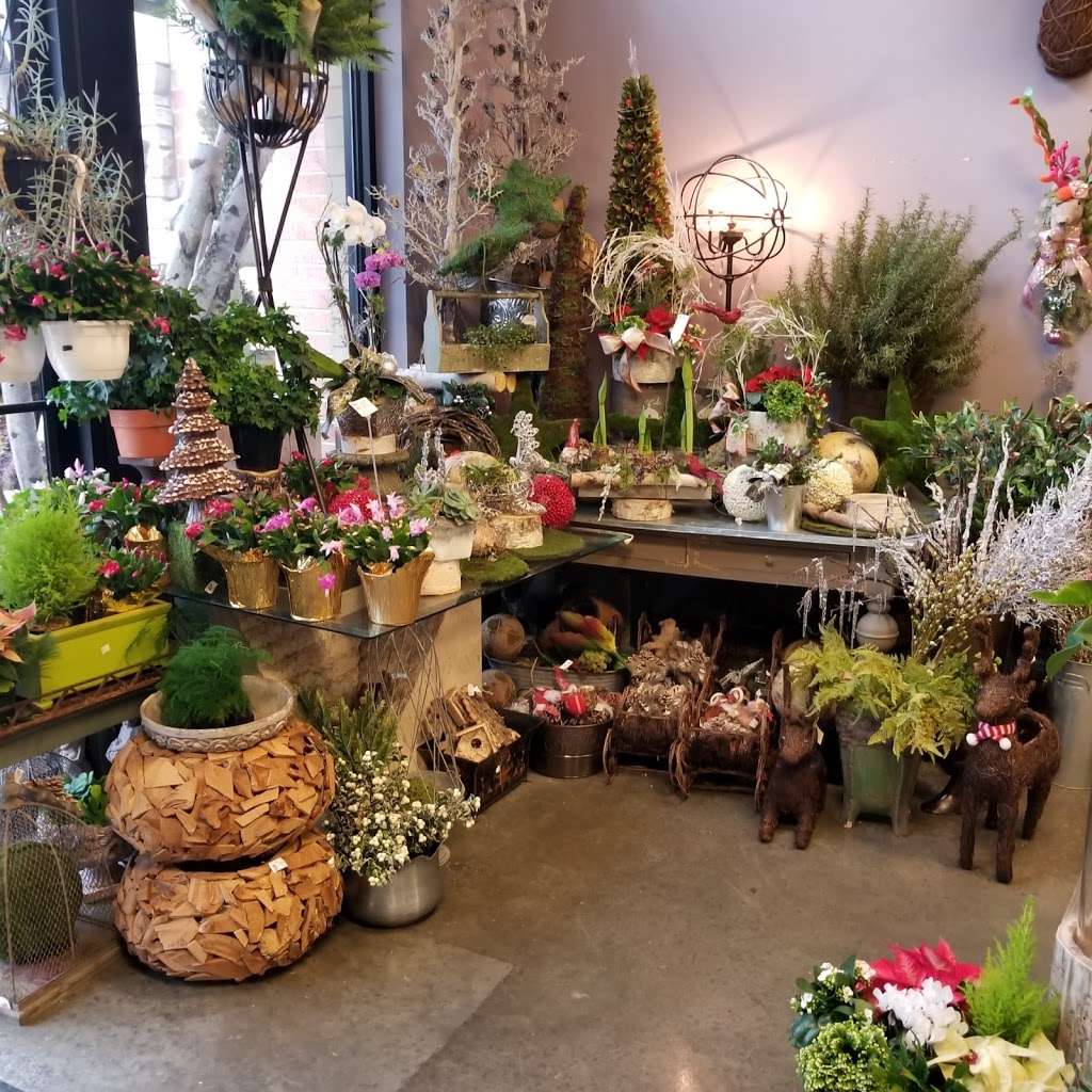 Flowers & More | Willowbrook, IL 60527, USA | Phone: (630) 325-2350