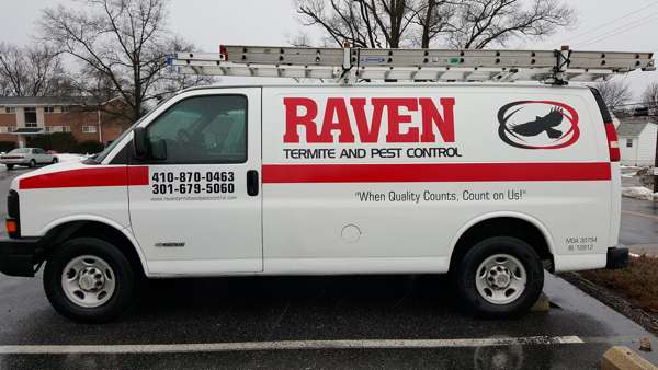 Raven Termite and Pest Control | 1335 Canberra Dr, Baltimore, MD 21221 | Phone: (443) 505-3194