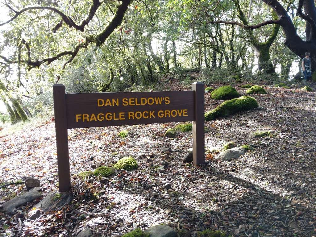 Dan Seldows Fraggle Rock Grove | Ridge Trail, Los Gatos, CA 95033