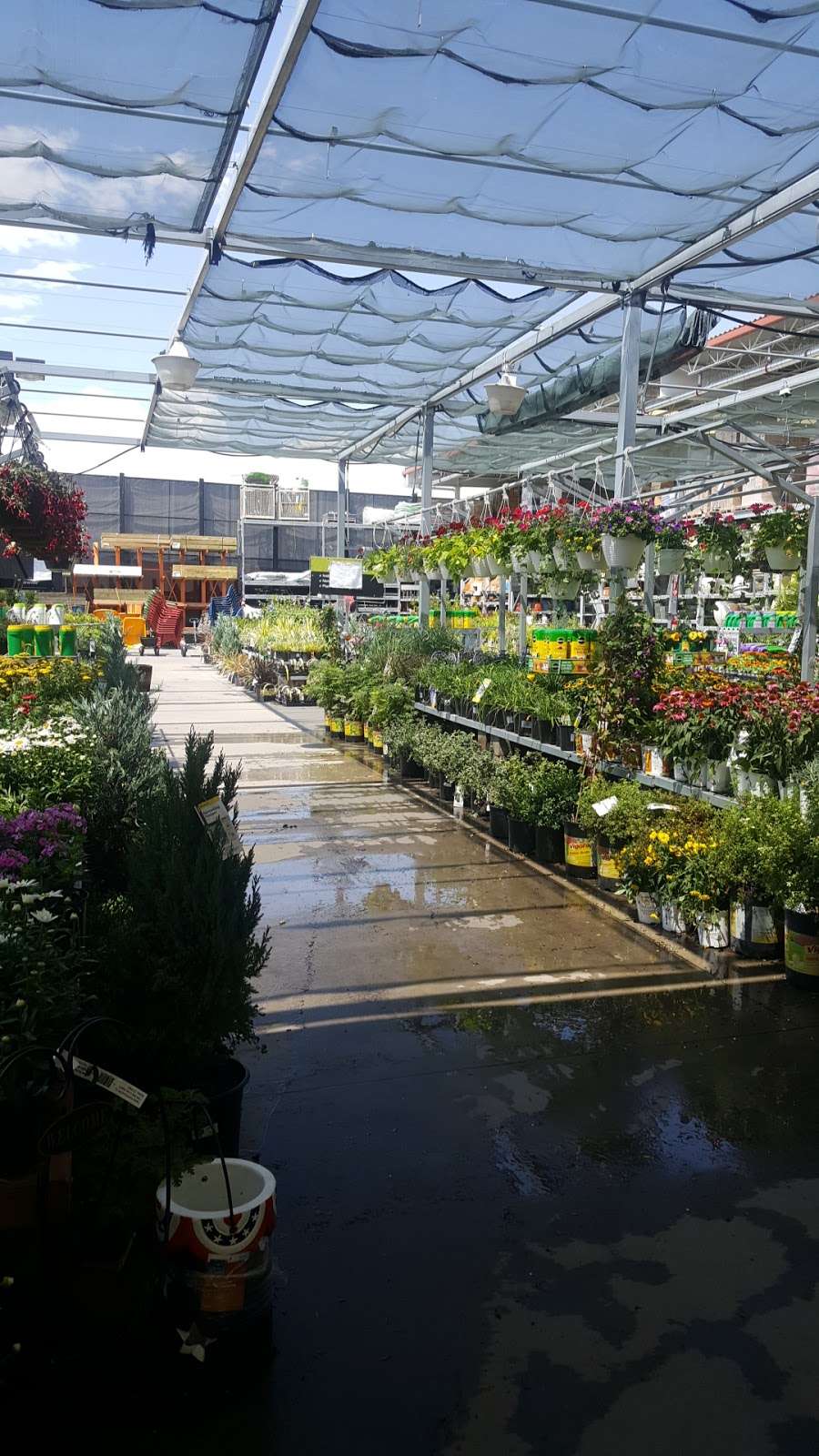 Garden Center at The Home Depot | 2440 Buckley Rd, Brighton, CO 80601, USA | Phone: (303) 655-1686