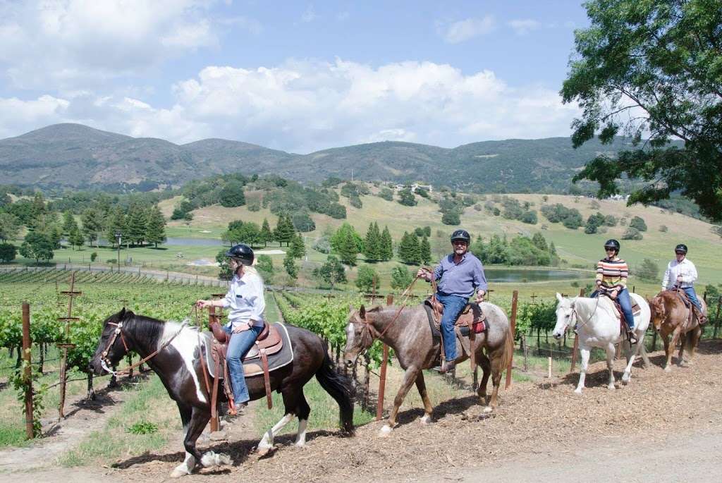 Napa Valley Trail Rides | 100 Rapp Ln, Napa, CA 94558, USA | Phone: (707) 255-5661