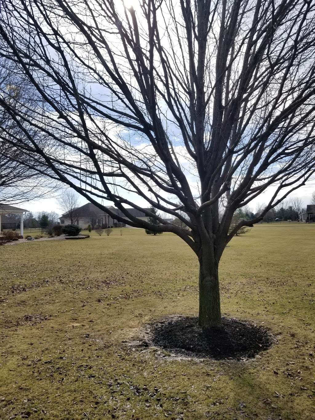 Greenland Landscape & Tree Service | 3543-3549 N Norfolk St, Indianapolis, IN 46224 | Phone: (317) 801-9782