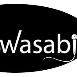 Wasabi Talent | 108 Running Brook Rd, Glen Mills, PA 19342, USA | Phone: (610) 350-7951