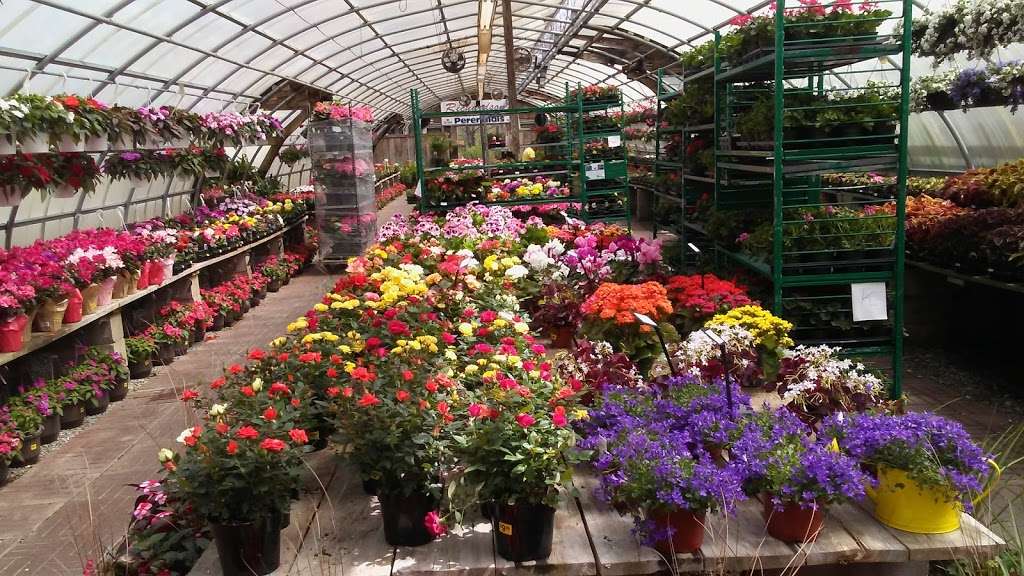 Richardsons Floral Center | 1918 Kirkwood Hwy, Newark, DE 19711 | Phone: (302) 737-1073