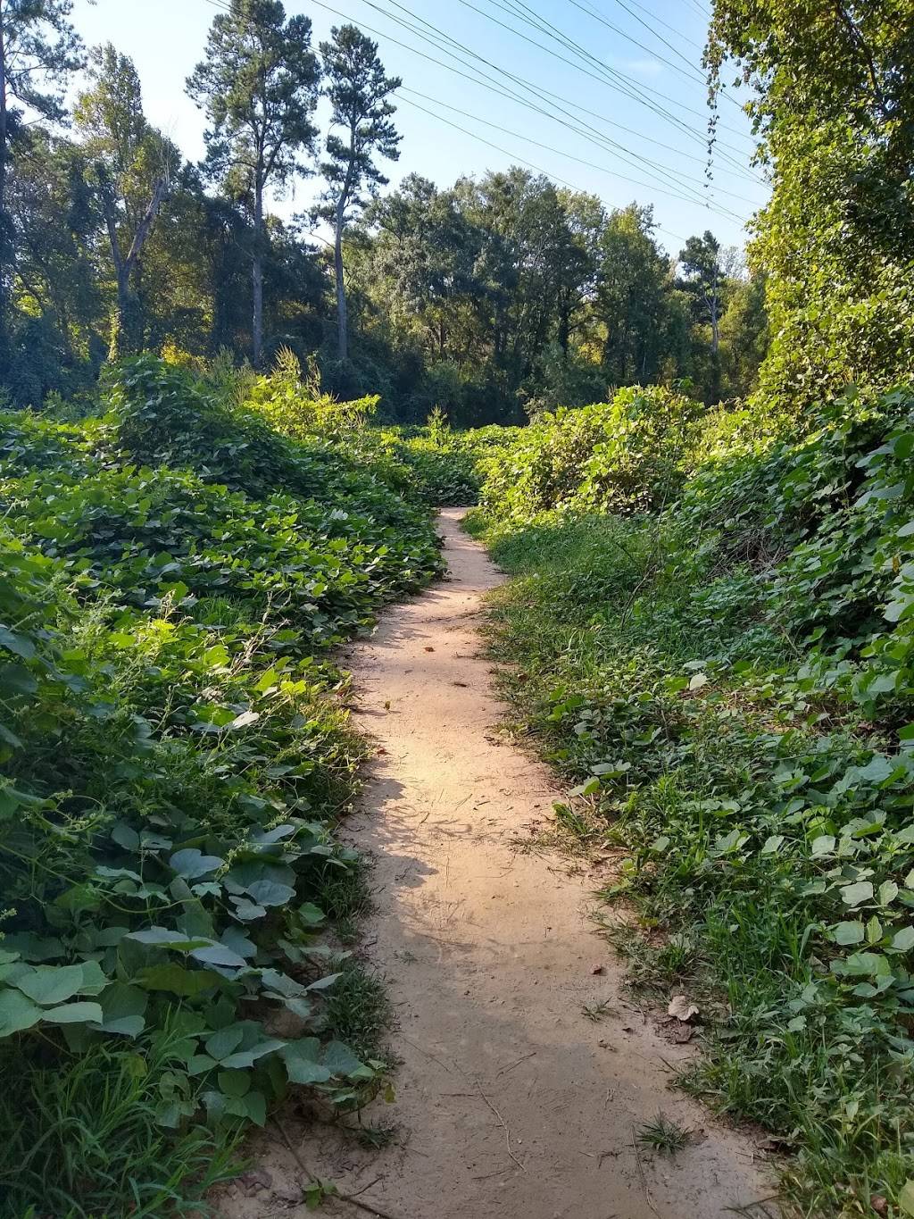 Morningside Nature Preserve | 2020 Lenox Rd NE, Atlanta, GA 30324, USA | Phone: (404) 546-6788