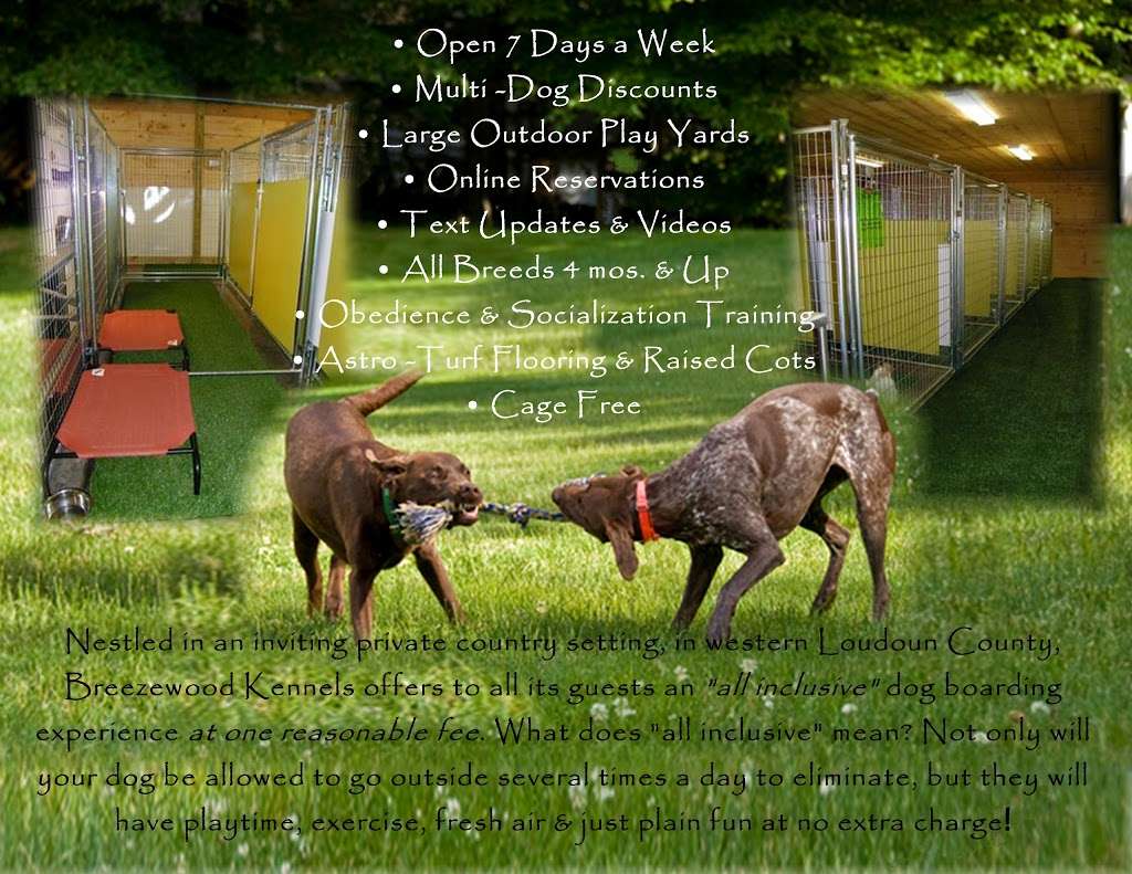 Breezewood Kennels | 17765 Lakefield Rd, Round Hill, VA 20141, USA | Phone: (540) 338-1000