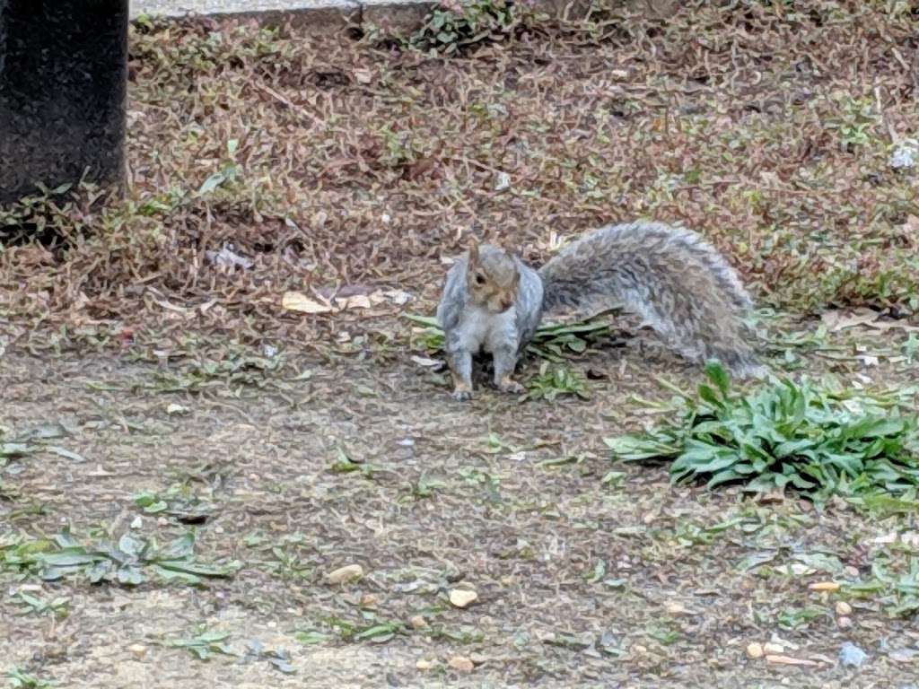 Haddon Lake Park. | Mt Ephraim, NJ 08059, USA