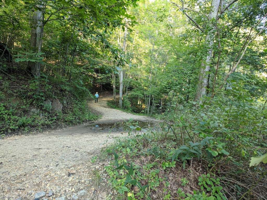 Difficult Run Stream Valley Trail, Georgetown Pike | 8801 Georgetown Pike, McLean, VA 22102, USA
