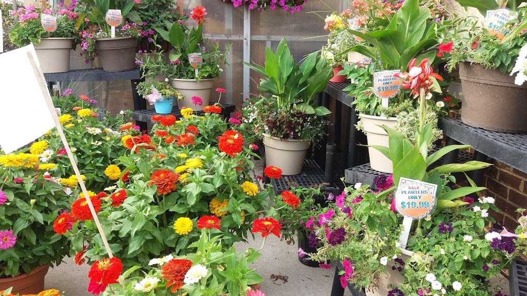 Saunoris Garden Center | 6000 W 111th St, Chicago Ridge, IL 60415 | Phone: (708) 422-7272