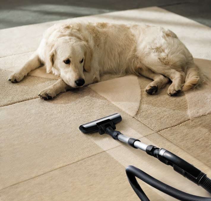 South Bay Carpet Cleaning | 509 N Elena Ave, Redondo Beach, CA 90277, USA | Phone: (310) 376-7655